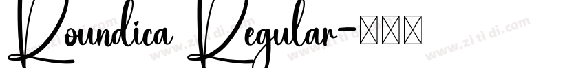 Roundica Regular字体转换